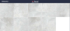 Gạch 60x60 Nhập khẩu Trung Quốc RM6002