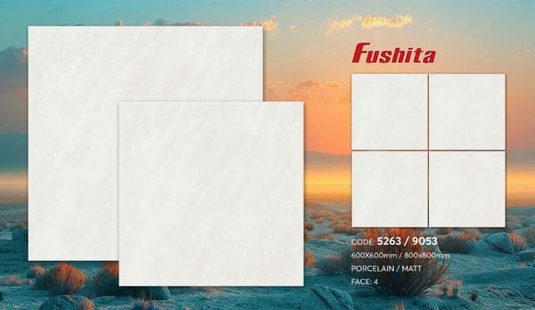 Gạch 60x60 Tasa 5263 mờ