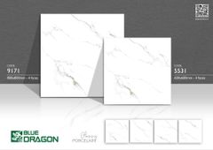 Gạch 60x60 Tasa 5531