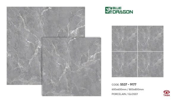Gạch 60x60 Tasa 5537