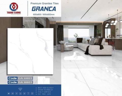 Gạch 60x60 Thắng Cường GA6801