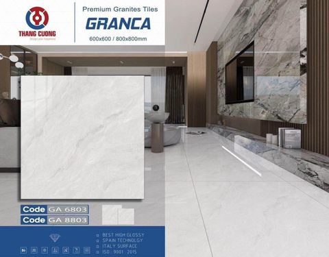 Gạch 60x60 Thắng Cường GA6803