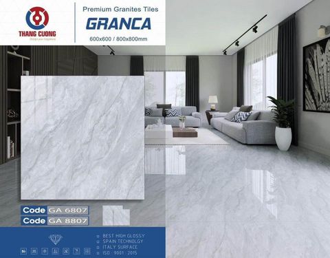 Gạch 60x60 Thắng Cường GA6807