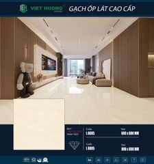 Gạch 60x60 Thắng Cường L6605