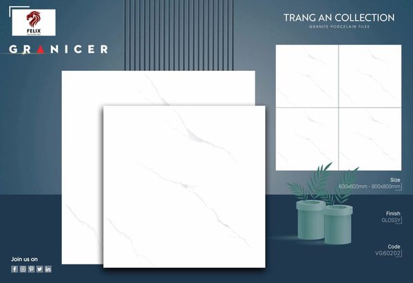 Gạch 60x60 Vicenza VG60202