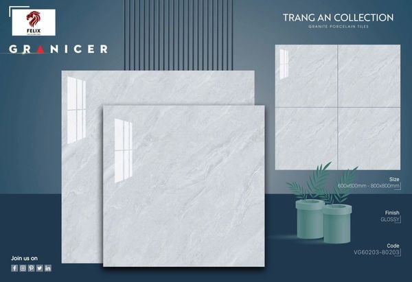 Gạch 60x60 Vicenza VG60203