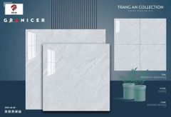 Gạch 60x60 Vicenza VG60203