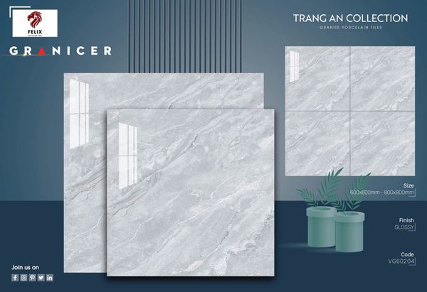 Gạch 60x60 Vicenza VG60204