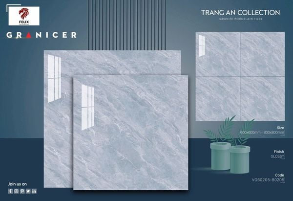Gạch 60x60 Vicenza VG60205