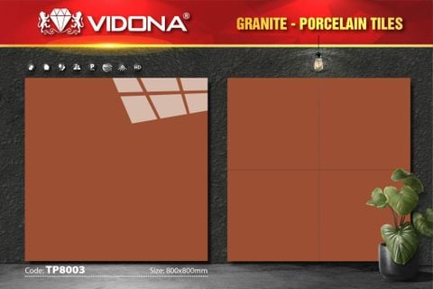 Gạch 60x60 Vidona TP6003