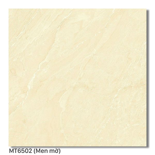 Gạch 60x60 Ý Mỹ MT6502