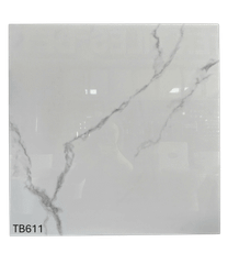 Gạch 60x60 Viglacera TB611