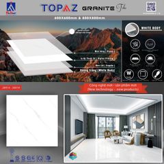 Gạch 80x80 Takao 28914