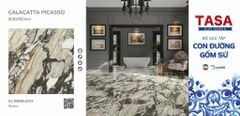 Gạch 80x80 Tasa 01.TBR80.0707 BST Con đường gốm sứ