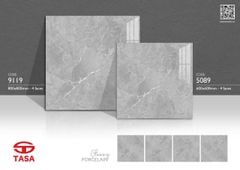 Gạch 80x80 Tasa 9119
