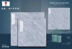 Gạch 80x80 Vicenza VG80205