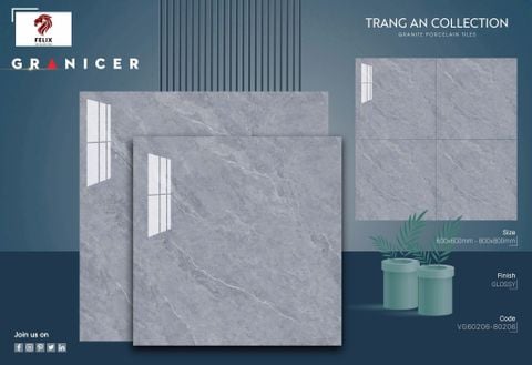 Gạch 80x80 Vicenza VG80206