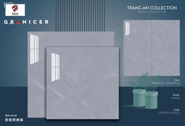 Gạch 80x80 Vicenza VG80207