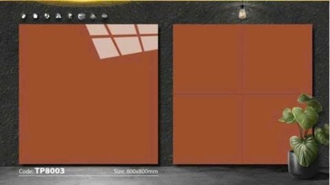 Gạch 80x80 Vidona TP8003