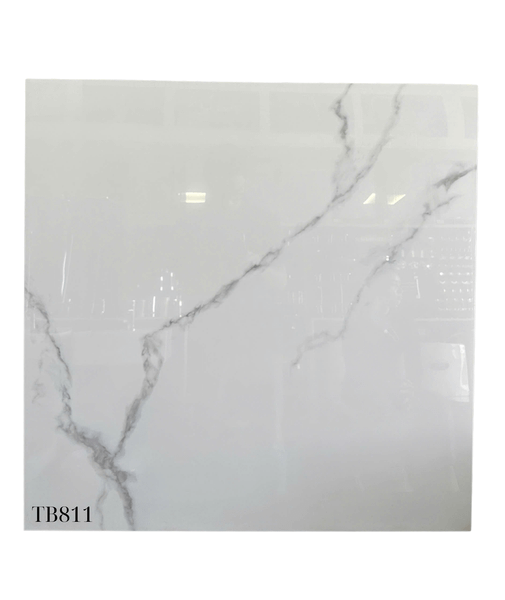 Gạch 80x80 Viglacera TB811