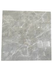 Gạch 80x80 Viglacera TB824