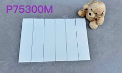 Gạch thẻ trang trí Nhập Khẩu Trung Quốc 75300M