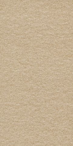 Gạch Taicera G63522 30x60 8v/T