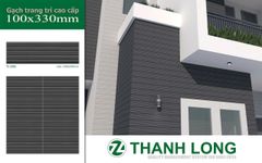 Gạch 10x33 Cosevco TL-1351 trang trí