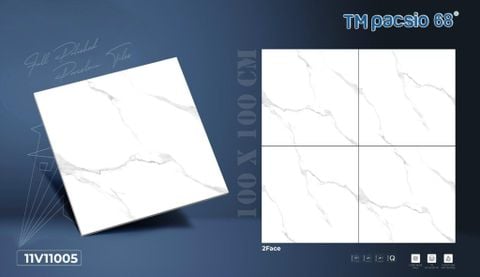 Gạch 100x100 Vicenza 11V11005