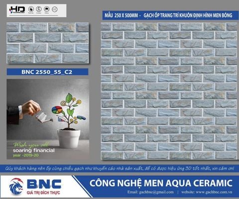 Gạch 25x50 BNC 255055