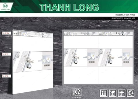 Gạch 40x80 DIC 4712 4712V 4713