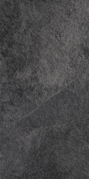 Gạch Taicera G12529JDD 60x120 2v/T