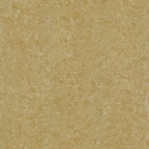 Gạch 60x60 Taicera 67771 *SALE*