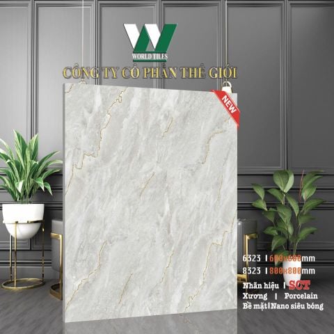 Gạch 60x60 Thế Giới 6832