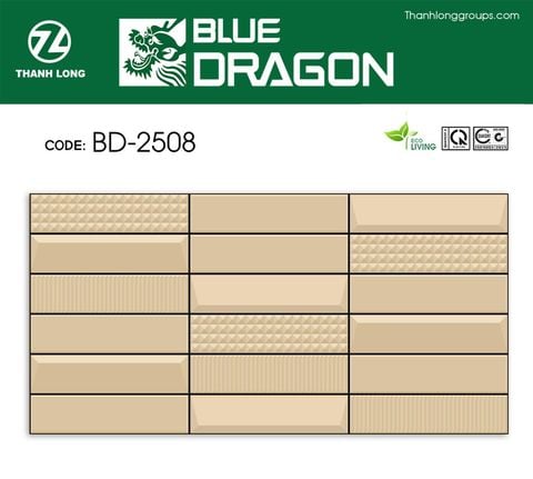 Gạch 25x50 Cosevco 2508