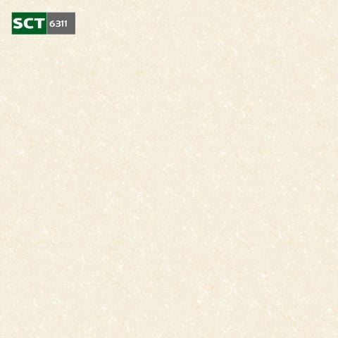 Gạch 60x60 Thế Giới 6311