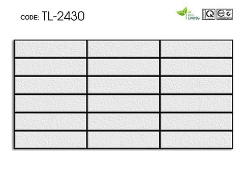 Gạch 20x40 Cosevco 2430