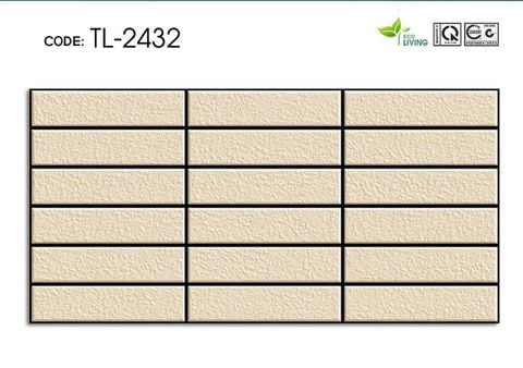 Gạch 20x40 Cosevco 2432