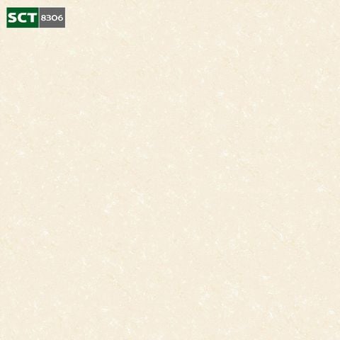 Gạch 80x80 Thế Giới 8306