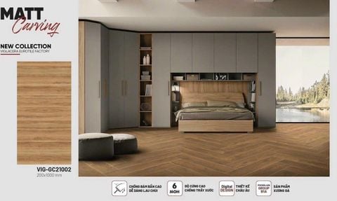 Gạch 20x100 Viglacera VI21002