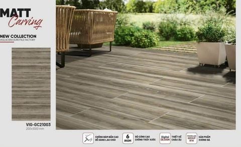 Gạch 20x100 Viglacera VI21003