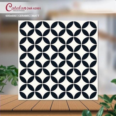 Gạch 60x60 Catalan 62001