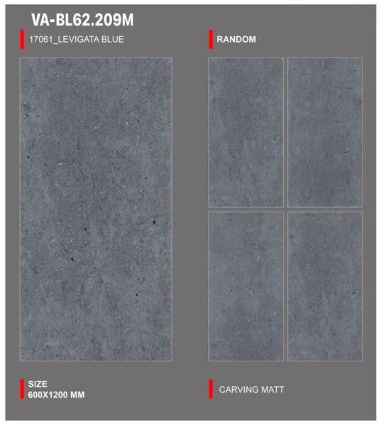 Gạch 60x120 Nhập Khẩu Ấn Độ BL62.209M