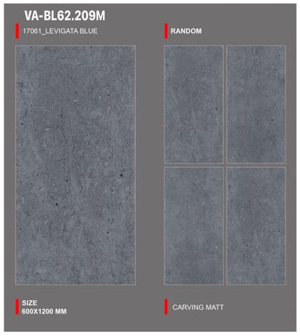 Gạch 60x120 Nhập Khẩu Ấn Độ BL62.209M