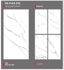 Gạch 60x120 Nhập Khẩu Ấn Độ FL62.215