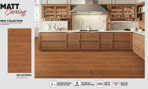 Gạch 20x100 Viglacera VI21004