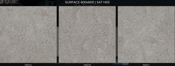 Gạch 60x60 Eurotile SATH03