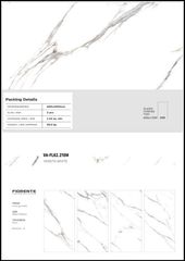 Gạch 60x120 Nhập Khẩu Ấn Độ FL62.210M