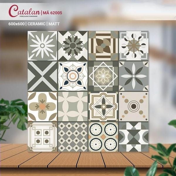 Gạch 60x60 Catalan 62005