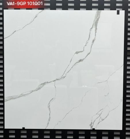 Gạch 100x100 Viglacera VA1-9GP101001